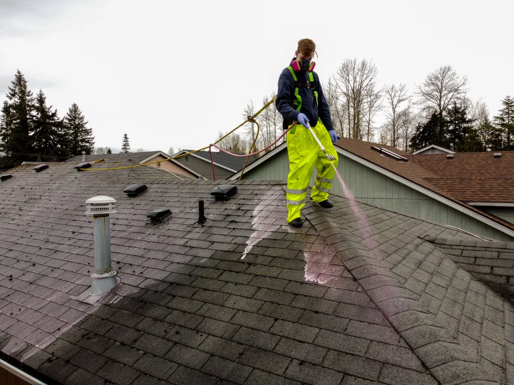 Roof Washing example 1