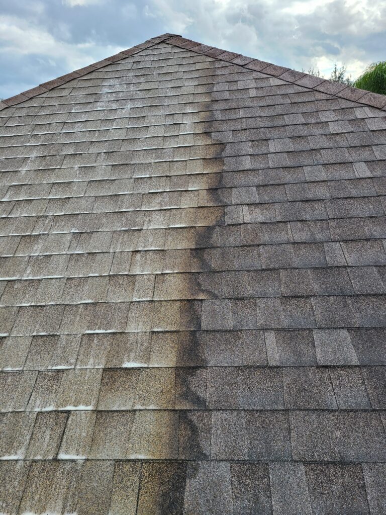 Roof Washing